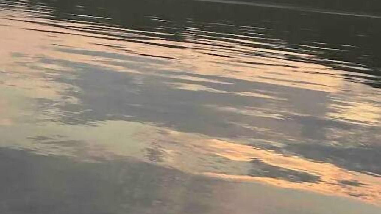 Photo of Others in Westford