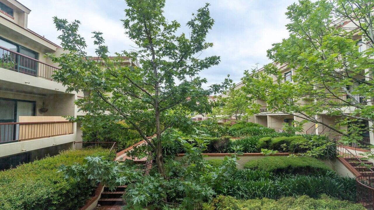 Photo of Outdoor in Reid