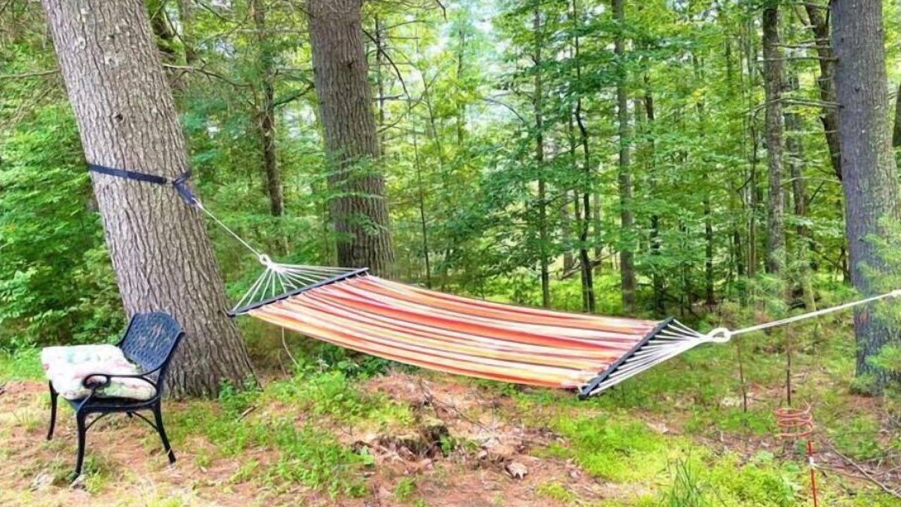 Photo of Outdoor in Oliverea