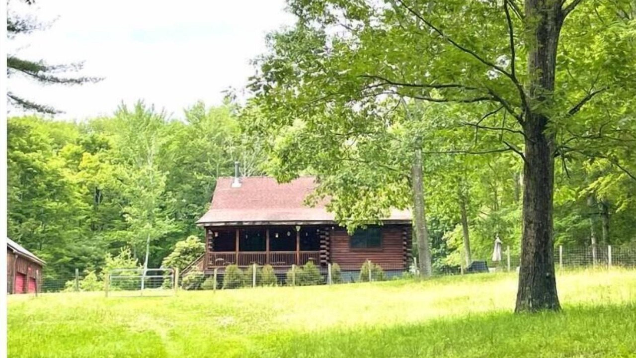 Photo of Outdoor in Oliverea