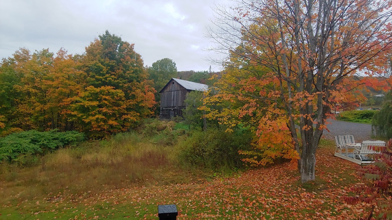 Photo of Outdoor in Chateau-Richer