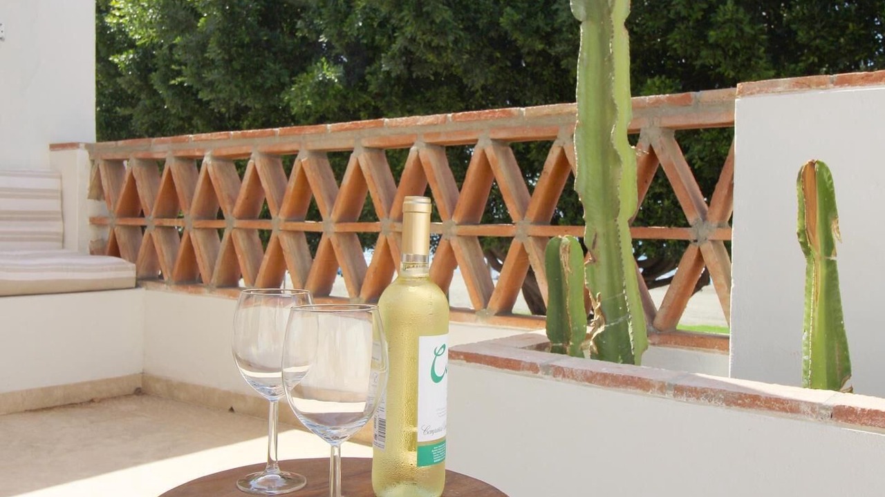Photo of Patio Balcony in Playas del Palo