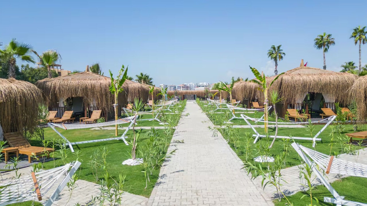 Photo of Outdoor in Lara