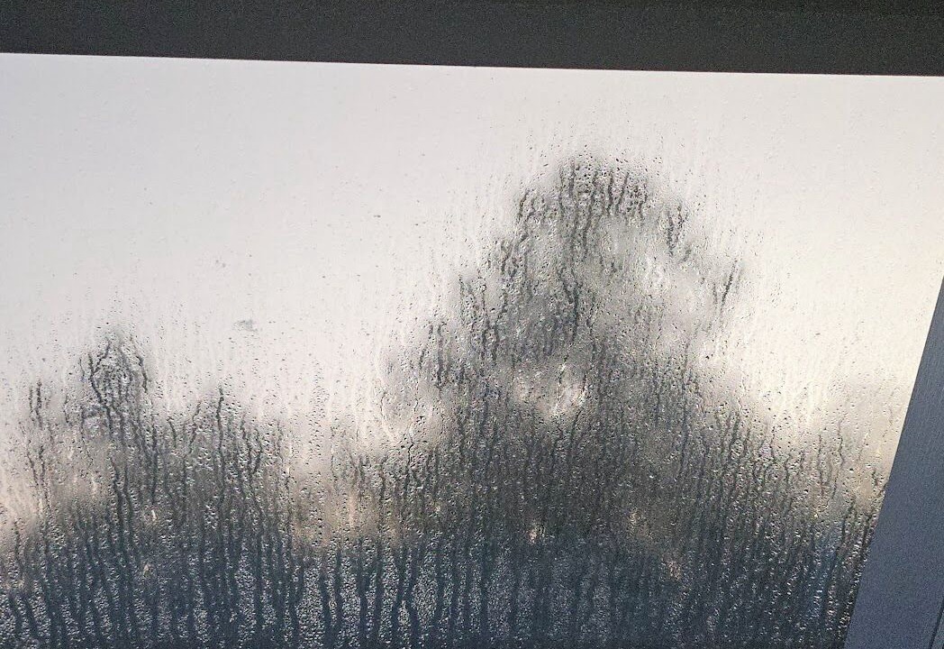 Photo of Others in Wilton