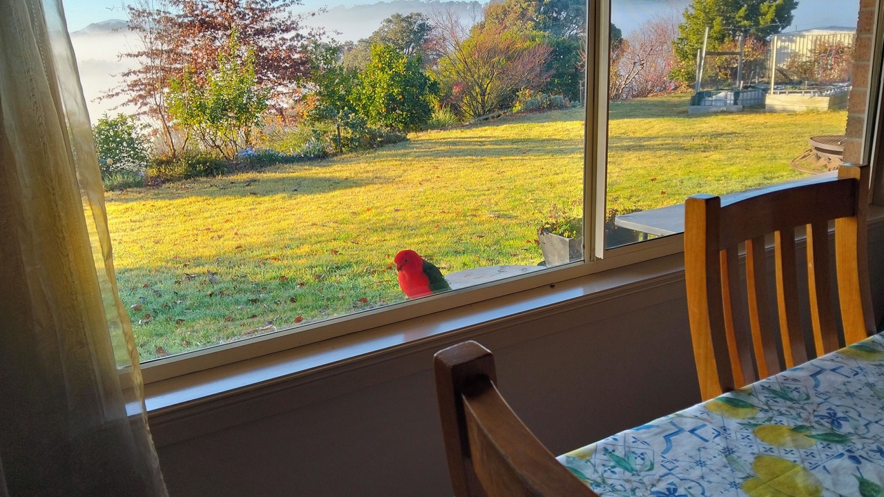Photo of Others in Yarra Glen