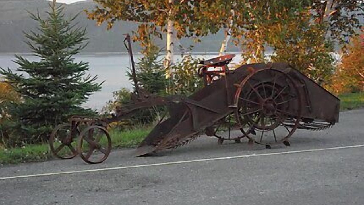 Photo of Others in Isle aux Coudres