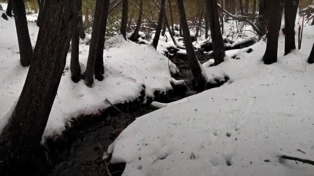 Photo of Others in Caledon