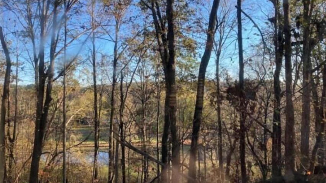 Photo of Others in Lemon Springs
