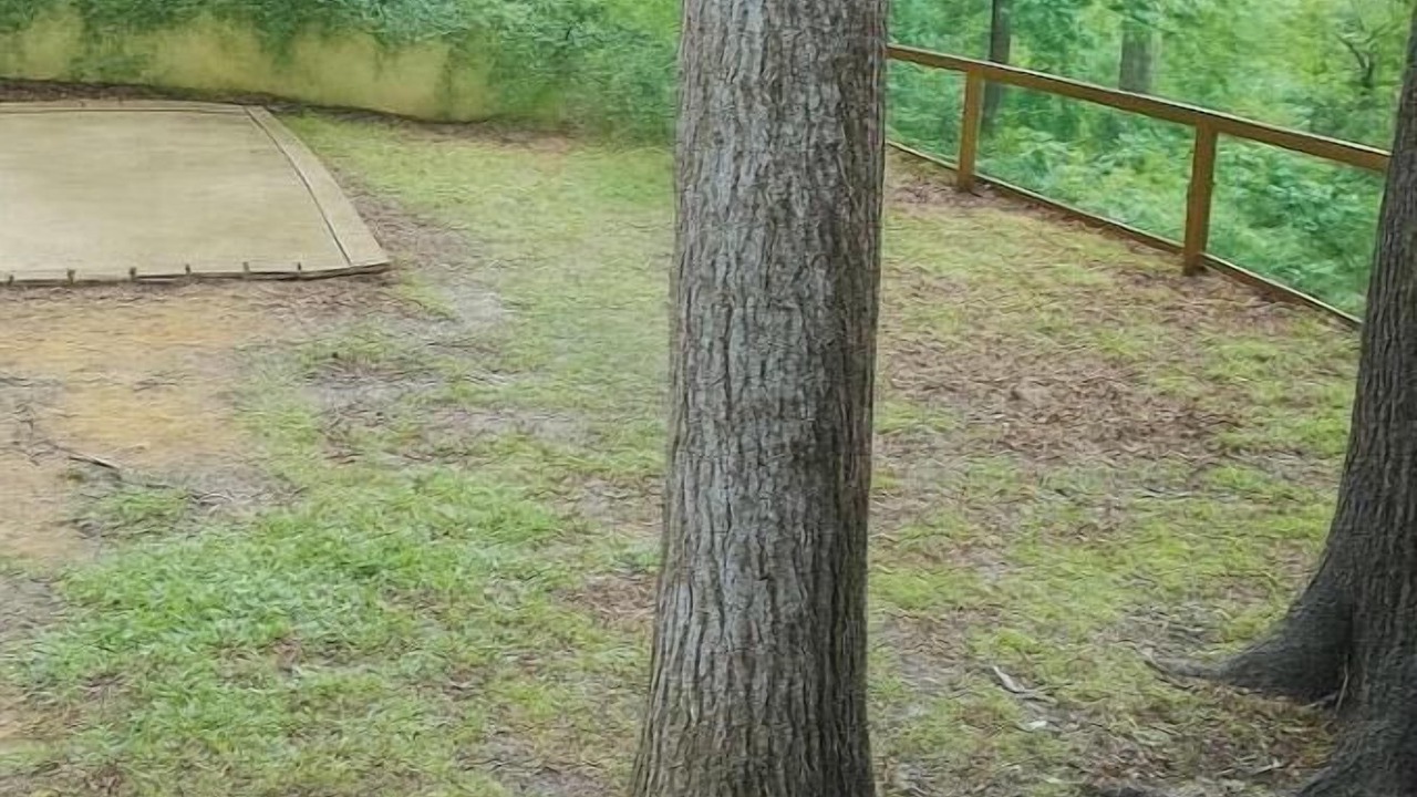 Photo of Outdoor in Lemon Springs