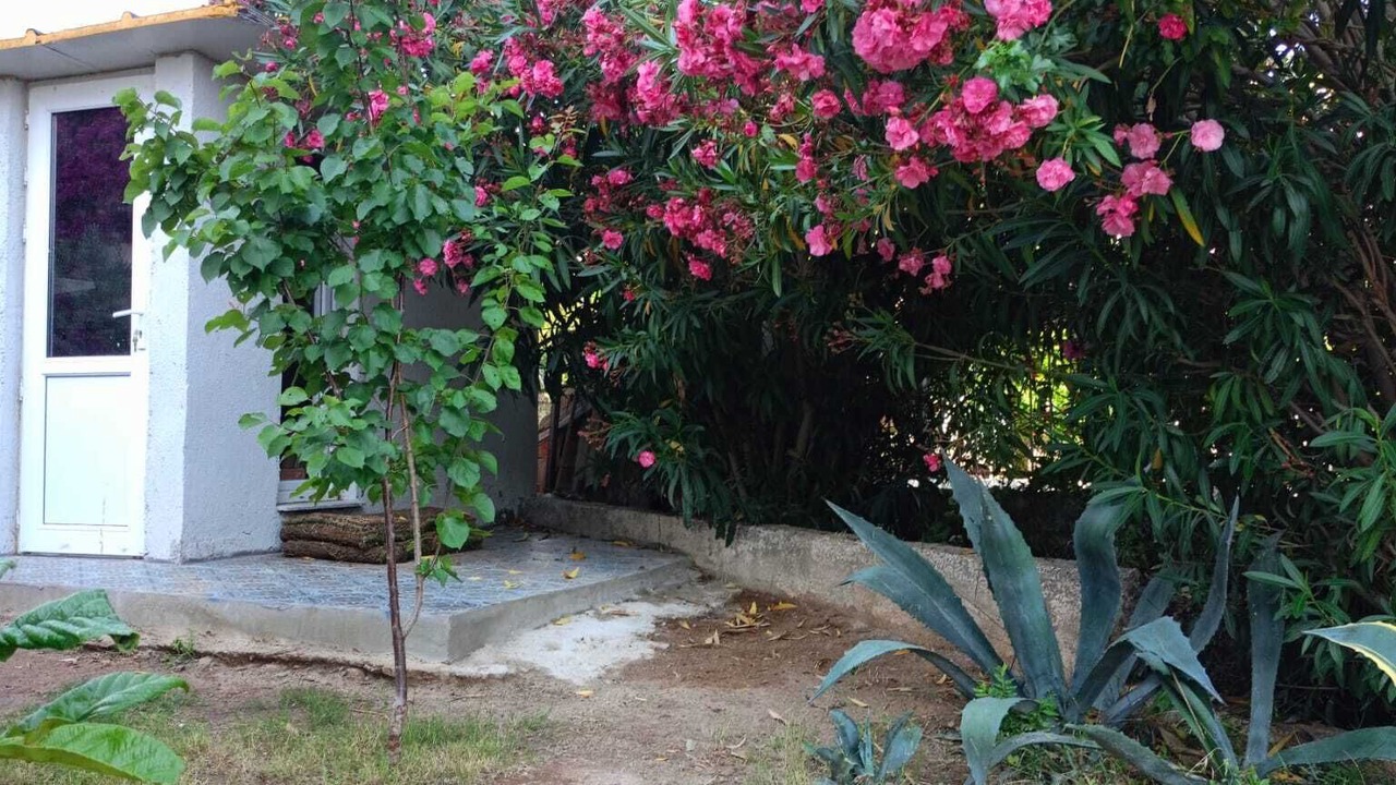 Photo of Outdoor in Ildır Koyu