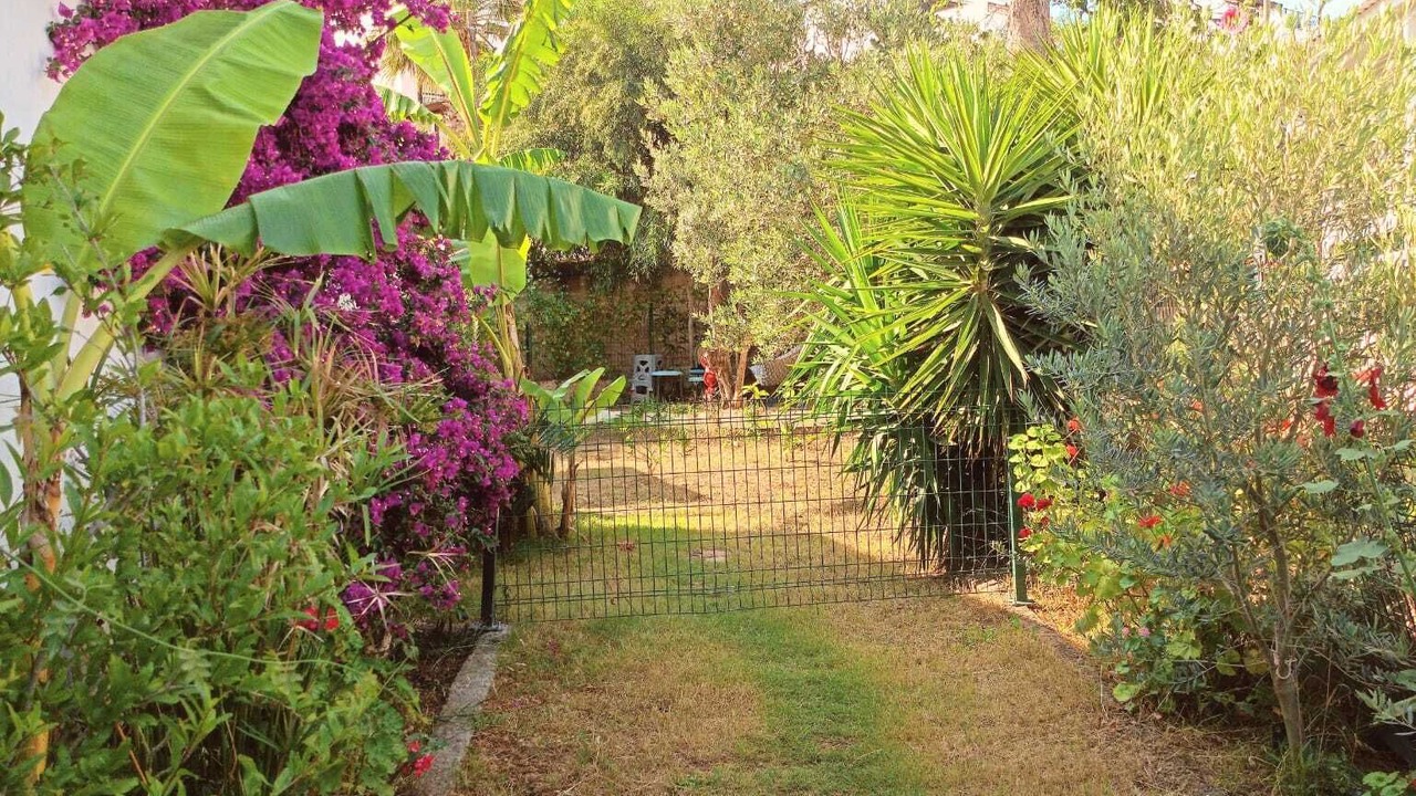 Photo of Outdoor in Ildır Koyu