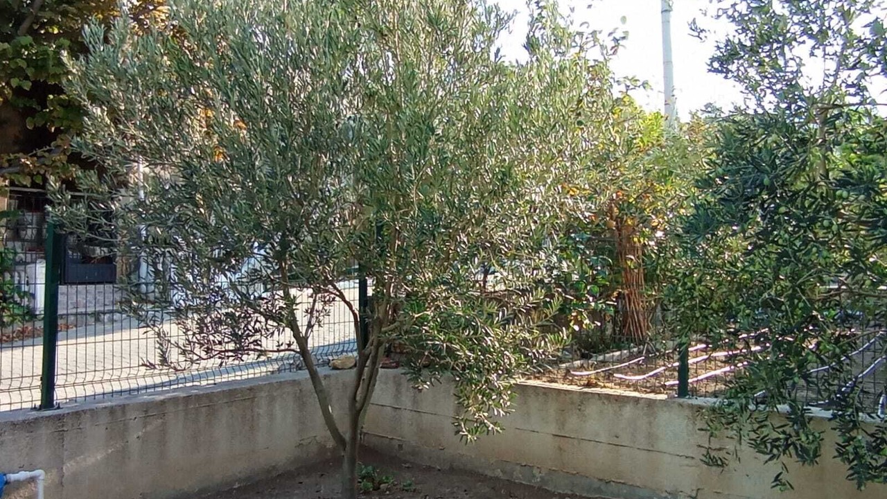 Photo of Outdoor in Foca