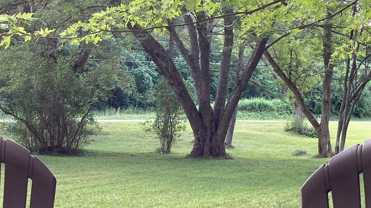 Photo of Others in Cohocton