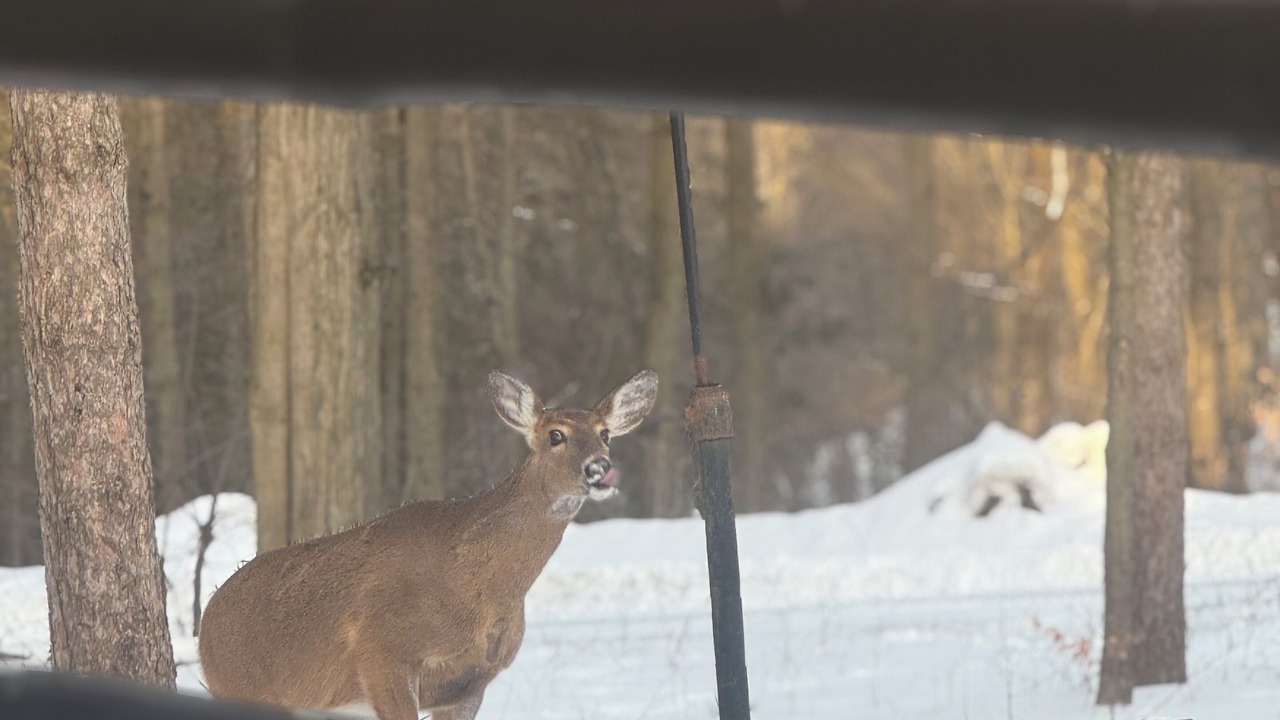 Photo of Others in Cohocton