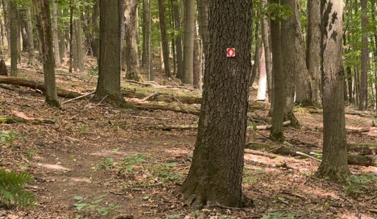 Photo of Others in Cohocton