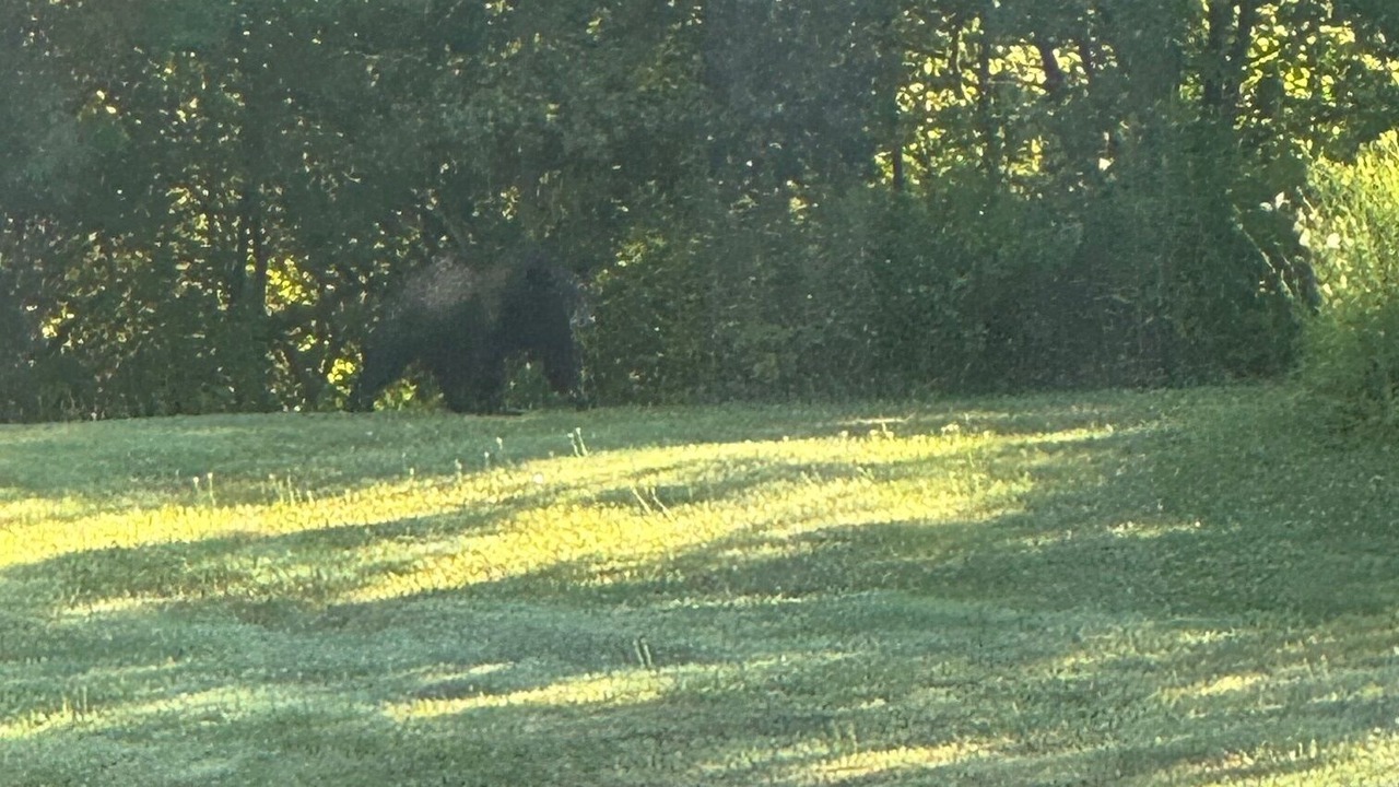 Photo of Others in Cohocton