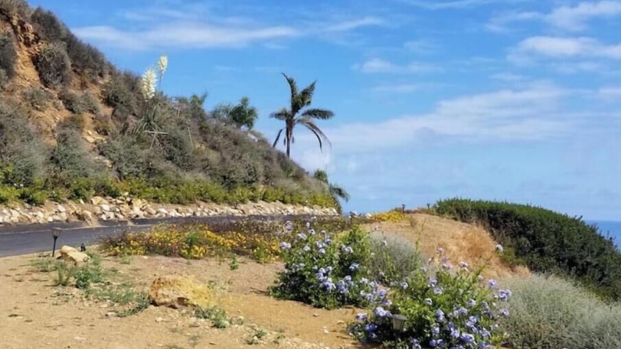 Photo of Others in Western Malibu