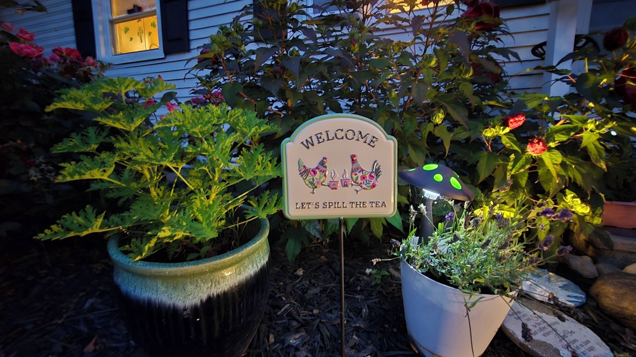 Photo of Outdoor in Cayuga