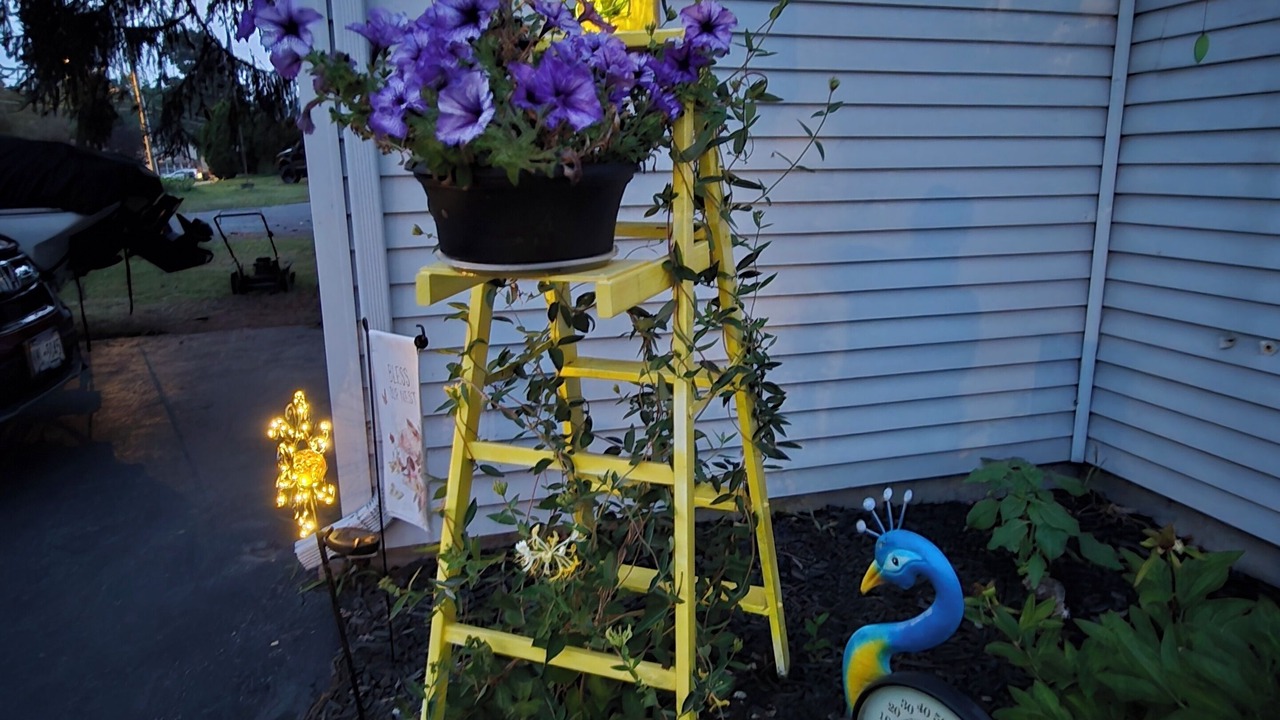 Photo of Outdoor in Cayuga