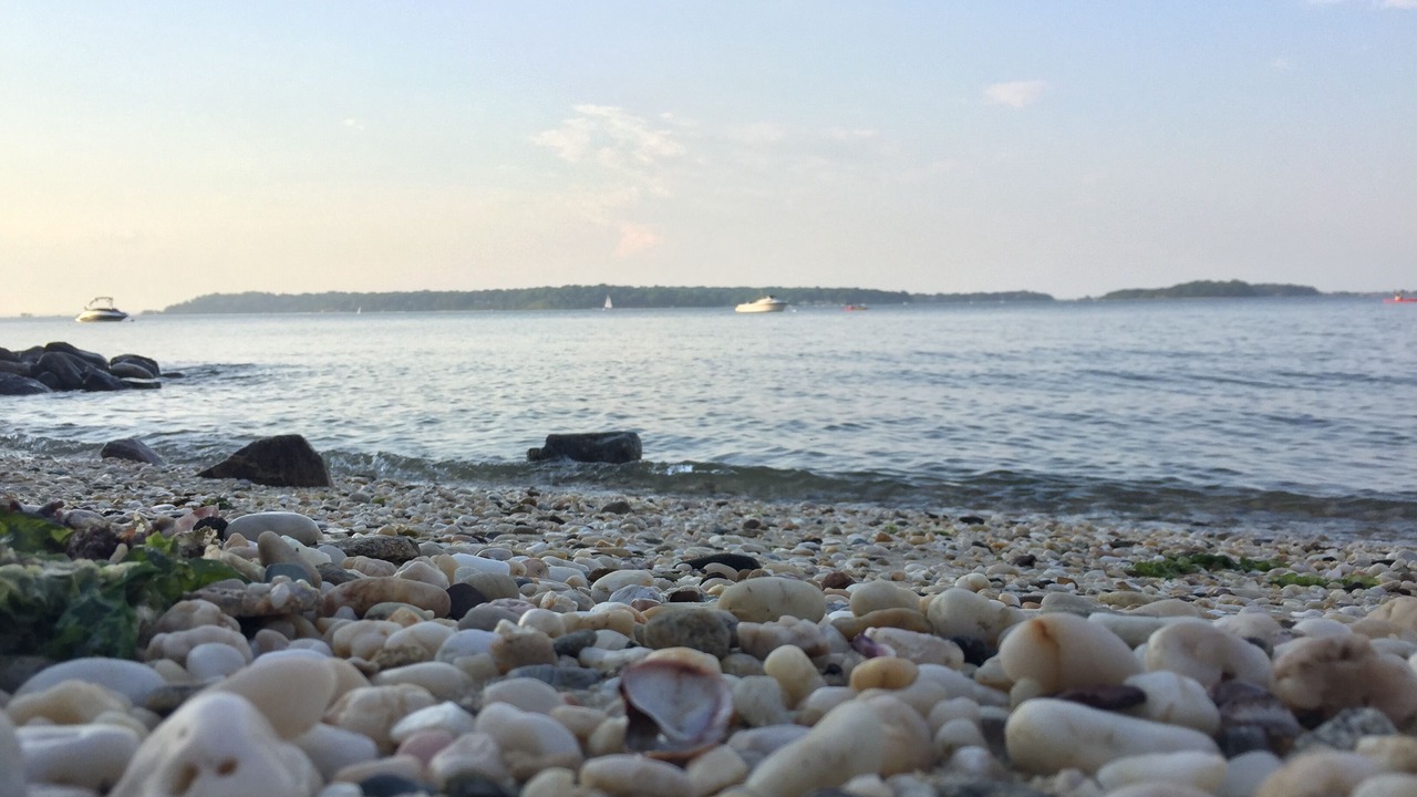 Photo of Others in Huntington