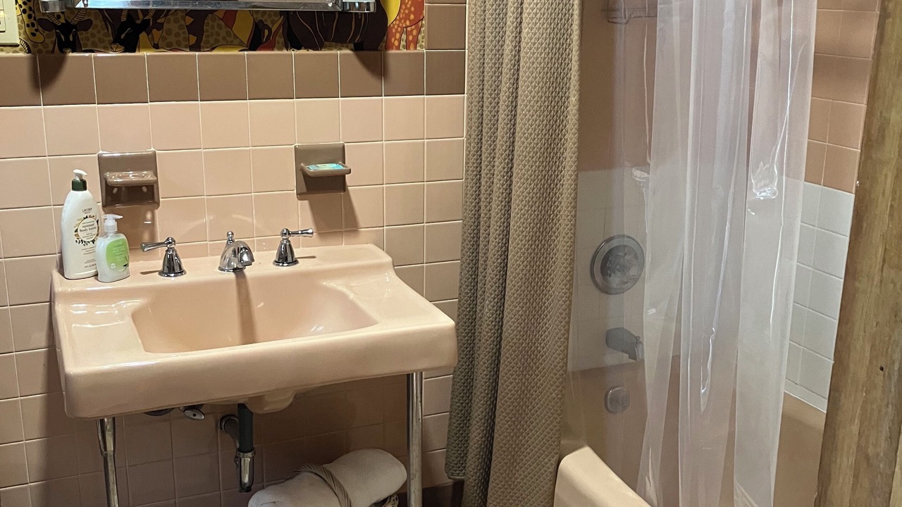 Photo of Bathroom in Catskill
