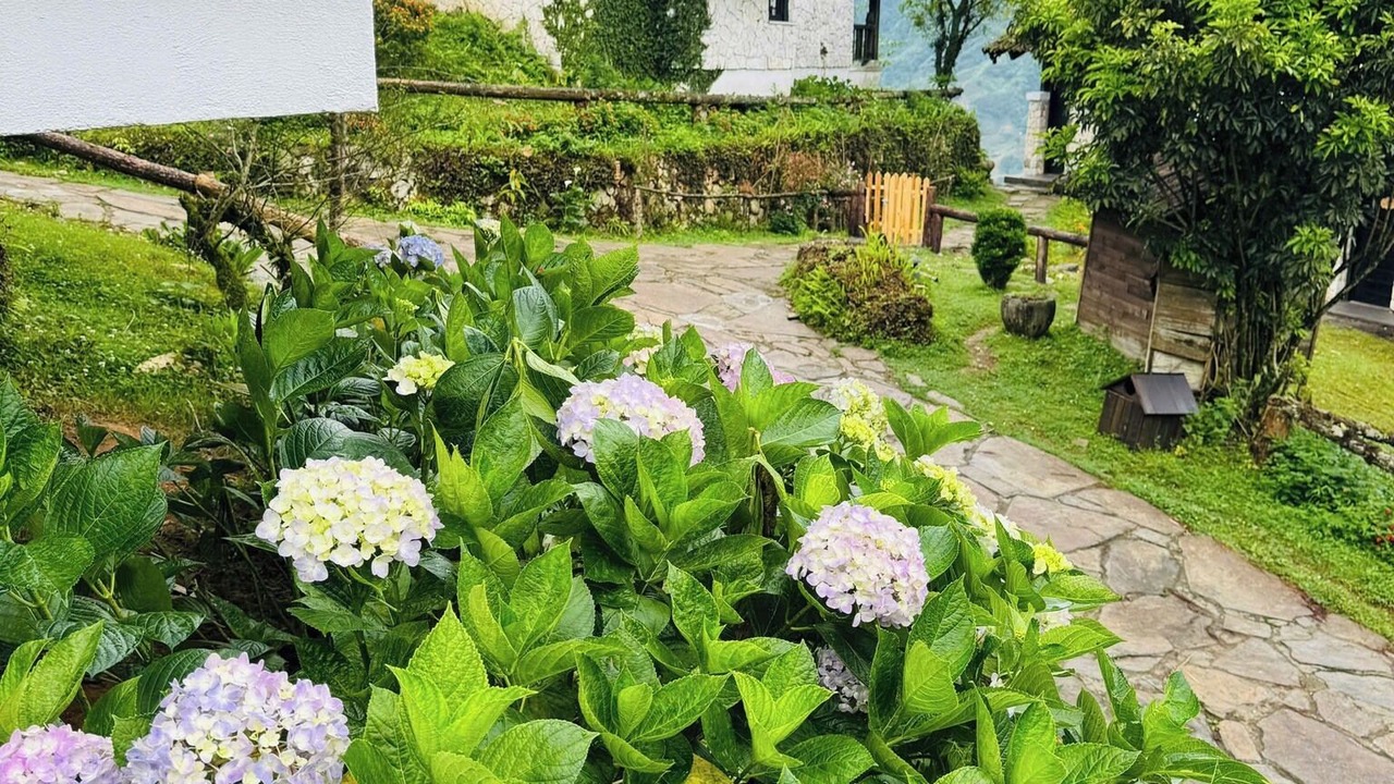 Photo of Outdoor in Sa Pa