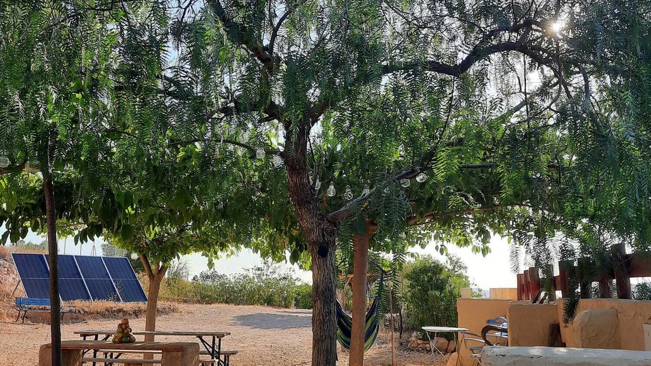 Photo of Outdoor in Hondon de las Nieves