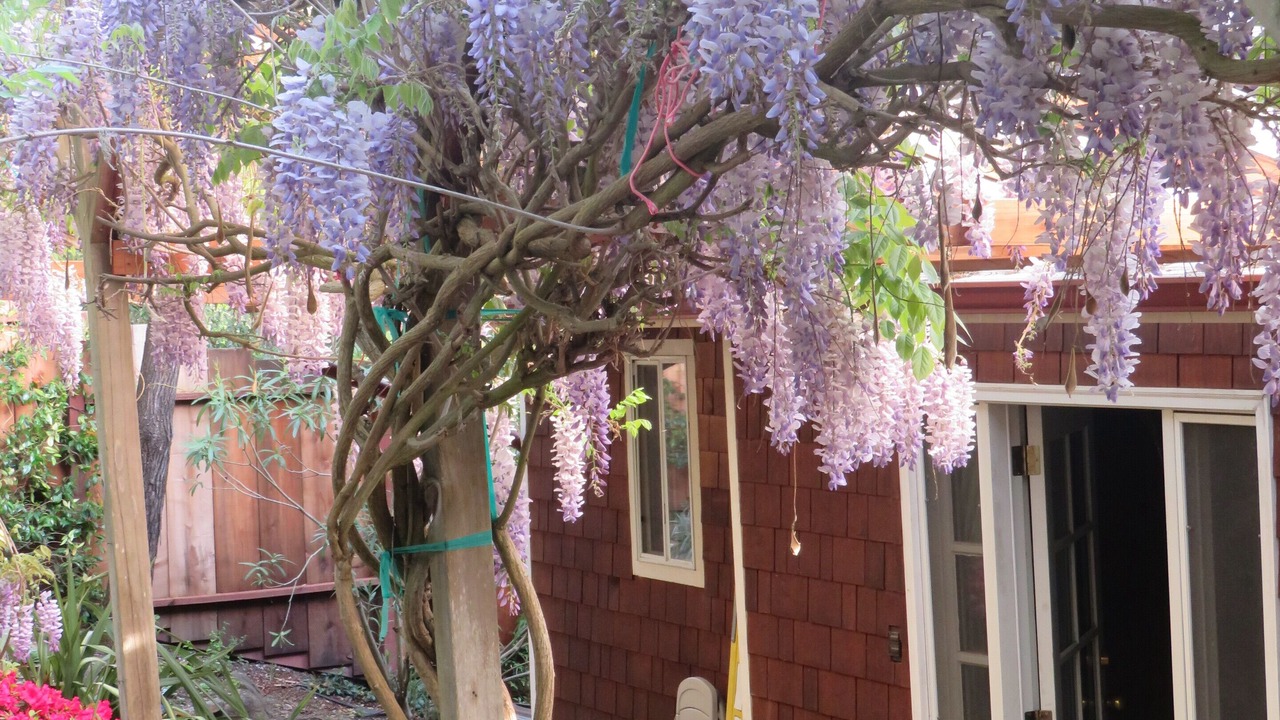 Photo of Outdoor in Fairfax