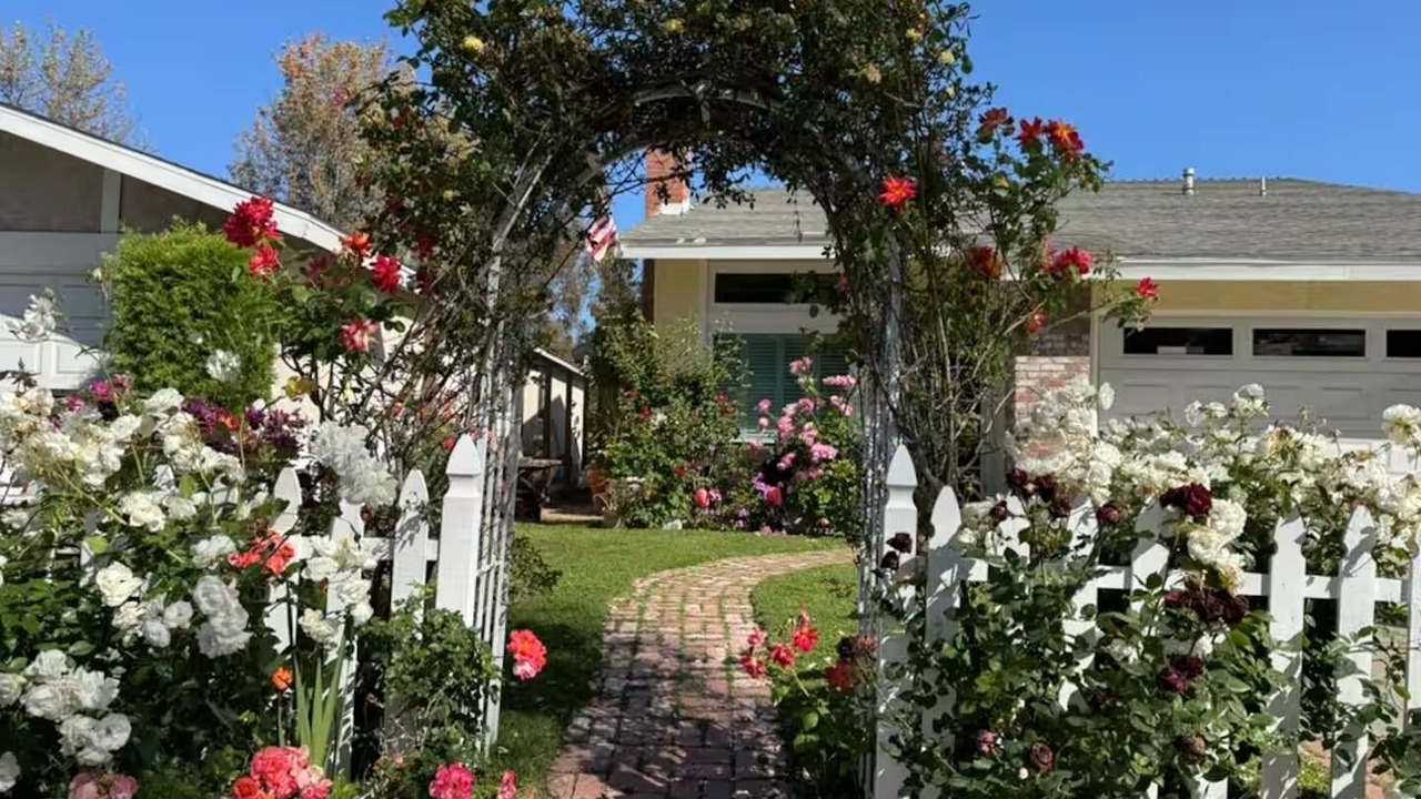 Photo of Outdoor in Mission Viejo