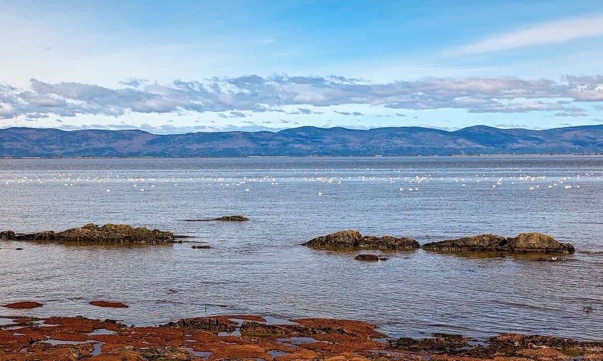 Photo of Others in Cap-Saint-Ignace