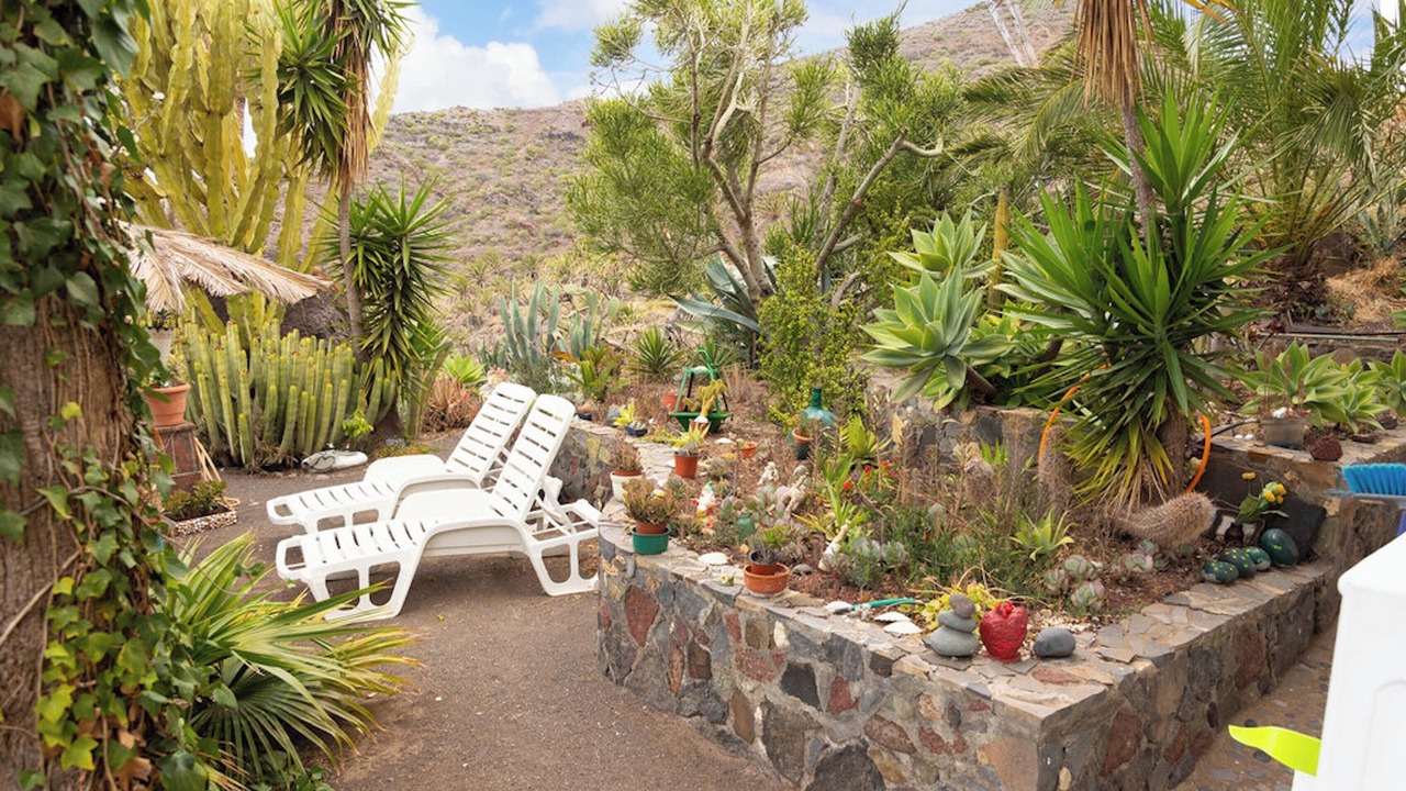 Photo of Outdoor in Vallehermoso