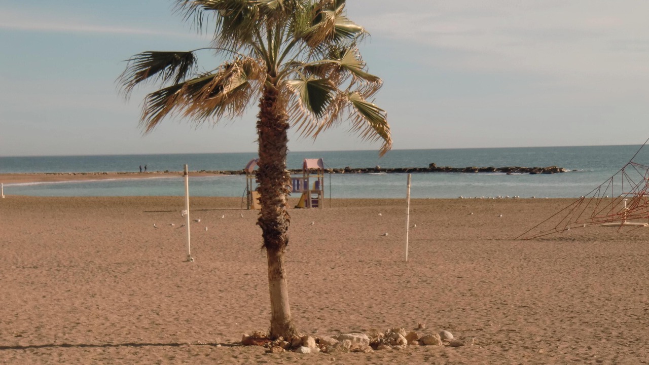 Photo of Others in Vinaros