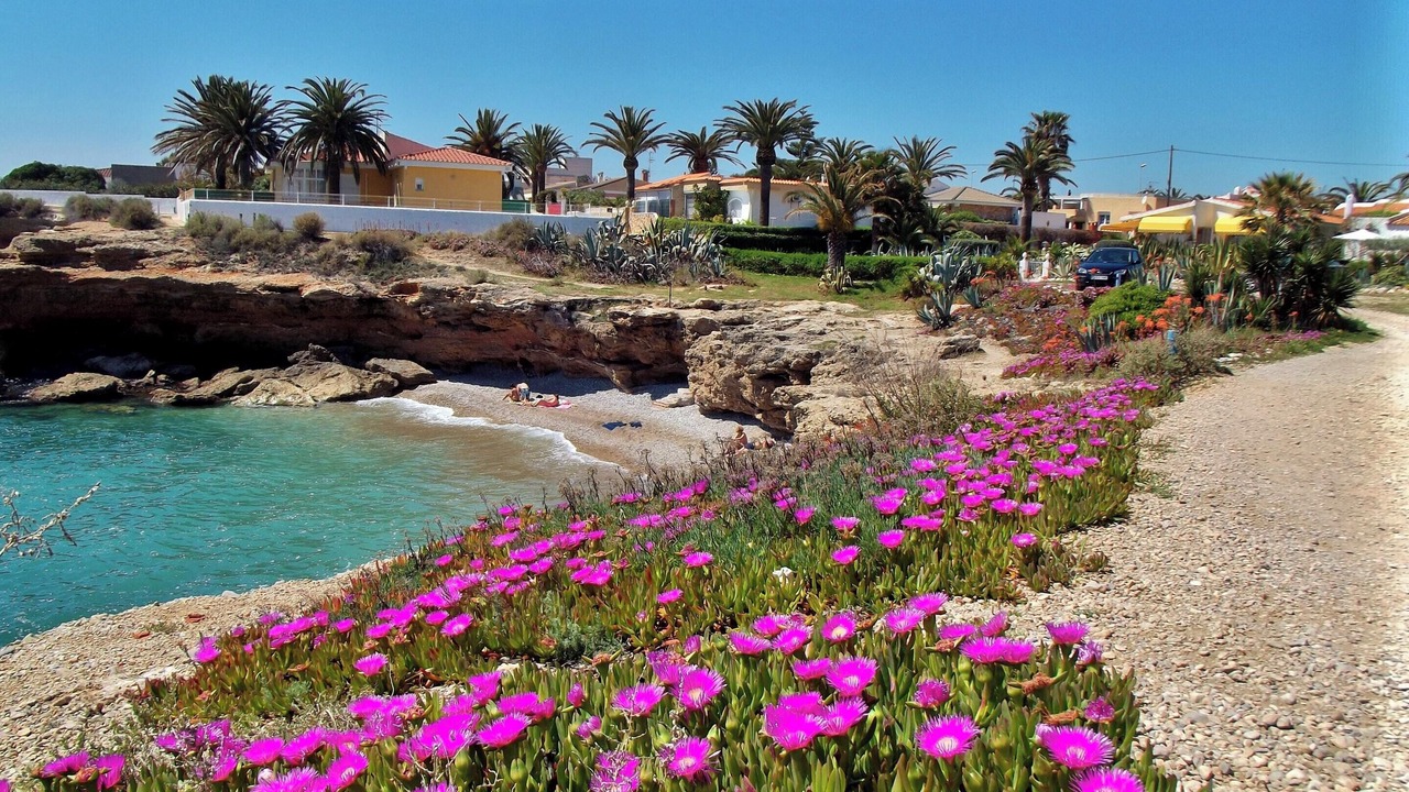 Photo of Others in Vinaros
