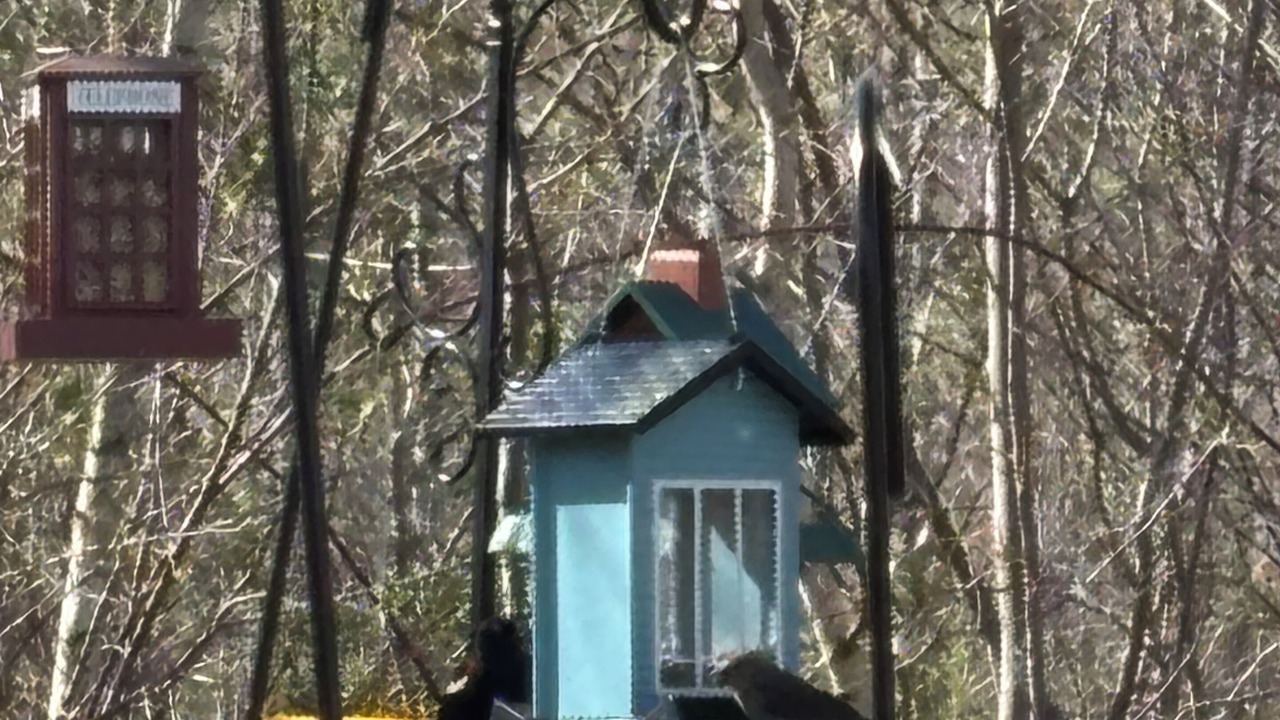 Photo of Others in Geneva