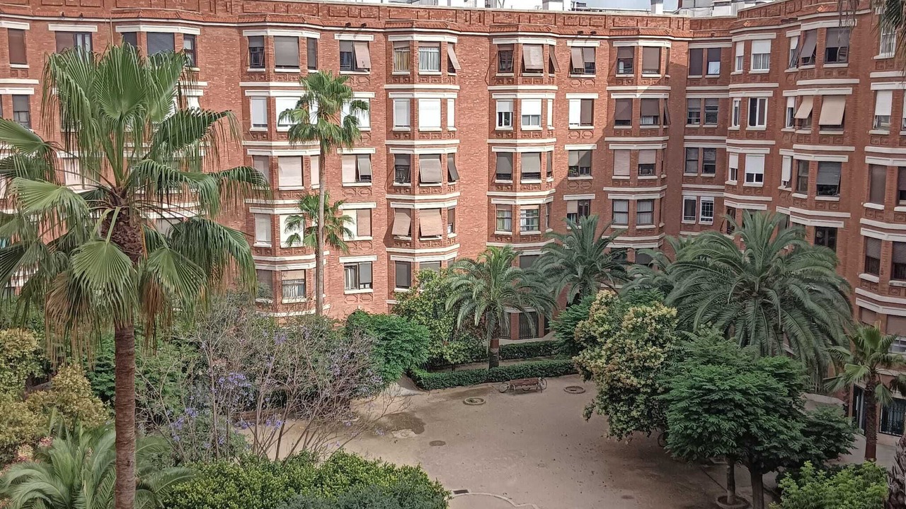 Photo of Others in Arrancapins