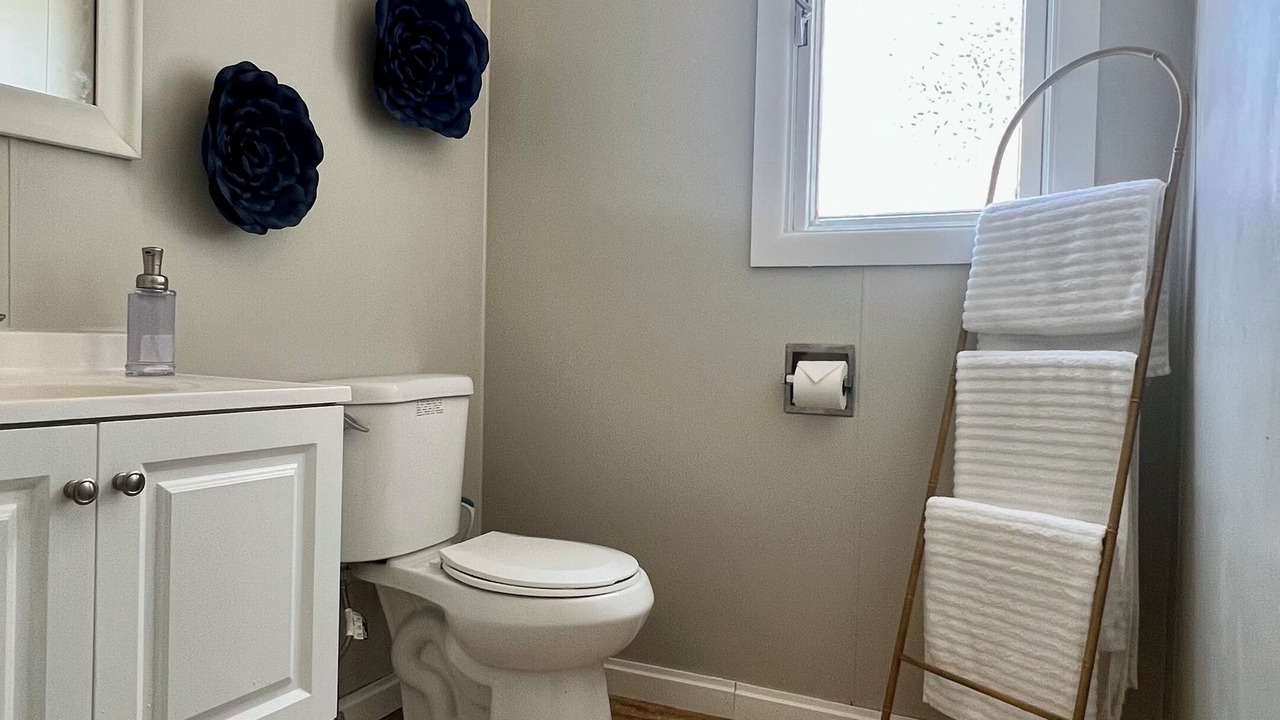 Photo of Bathroom in Lackawanna