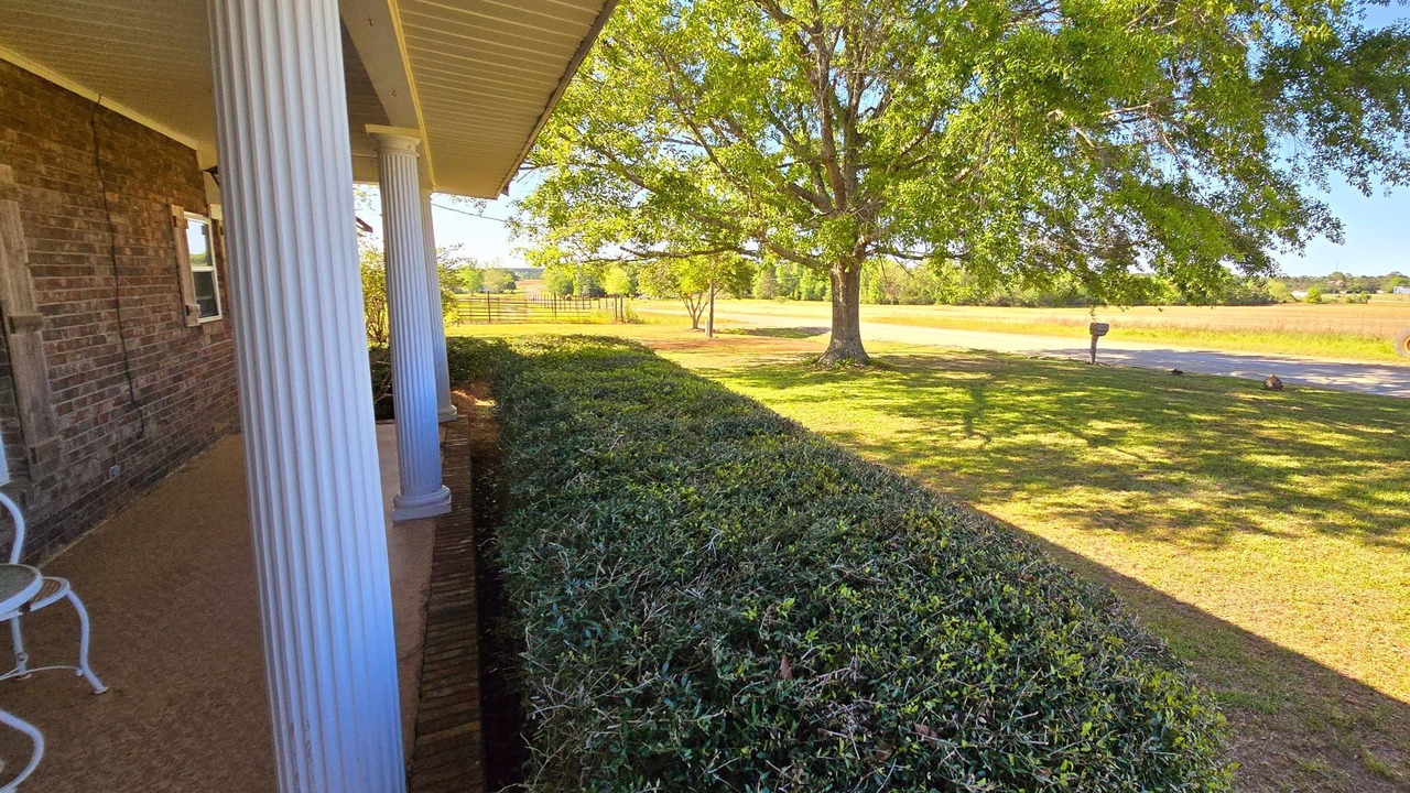 Photo of Outdoor in Pansey