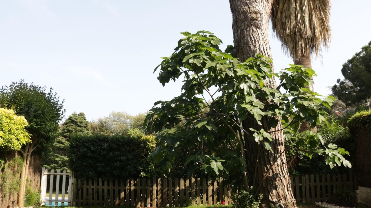 Photo of Outdoor in Cabrils