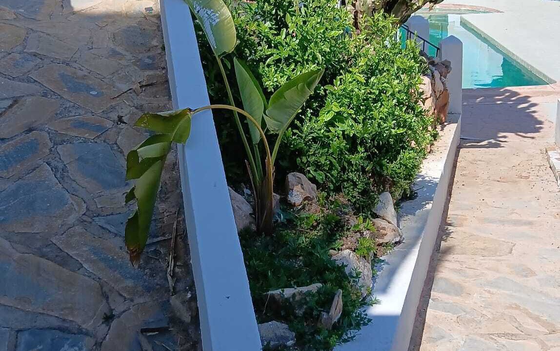 Photo of Outdoor in El Candado