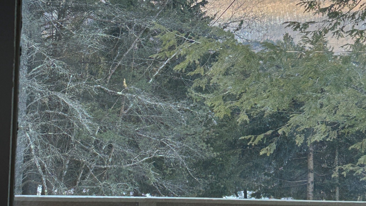 Photo of Others in East Jewett