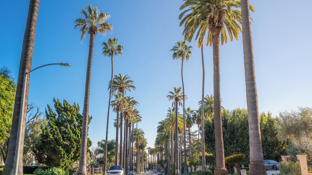 Photo of Others in Los Angeles