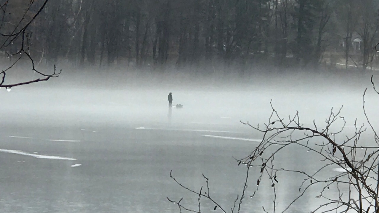 Photo of Others in Town of Southeast