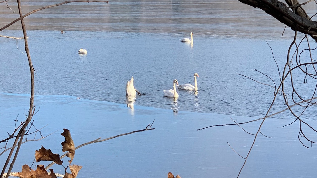 Photo of Others in Town of Southeast