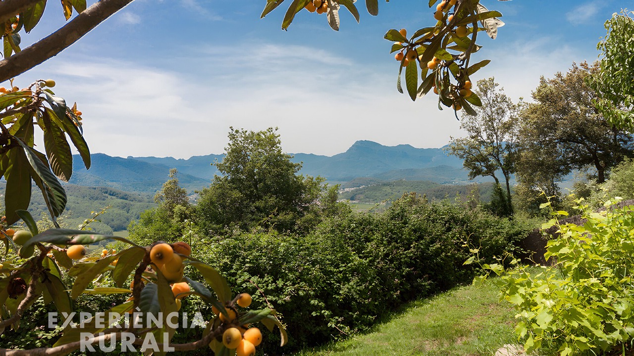 Photo of Others in Sant Joan les Fonts