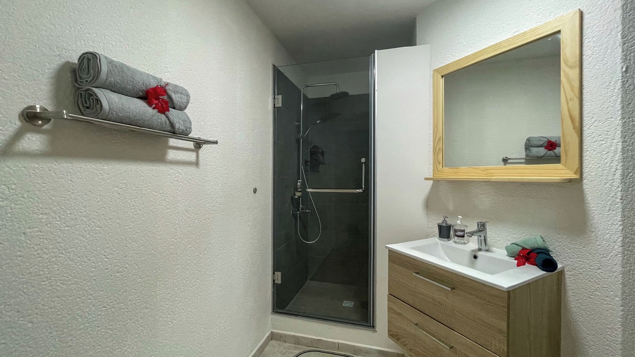 Photo of Bathroom in Pirae
