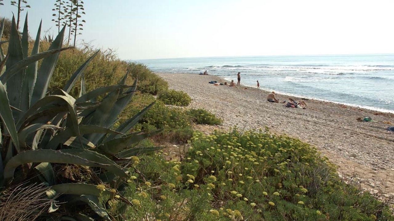 Photo of Others in Vinaros