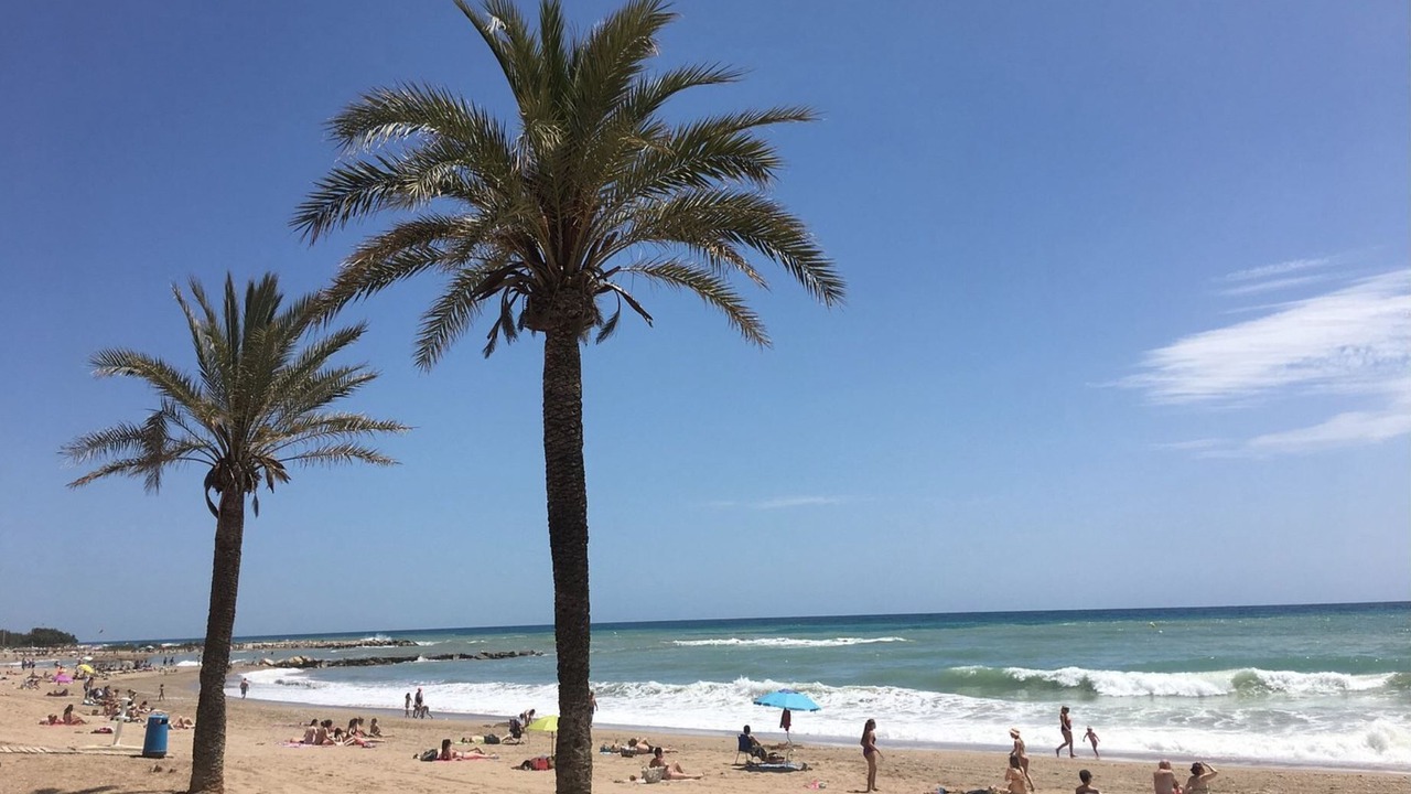 Photo of Others in Vinaros