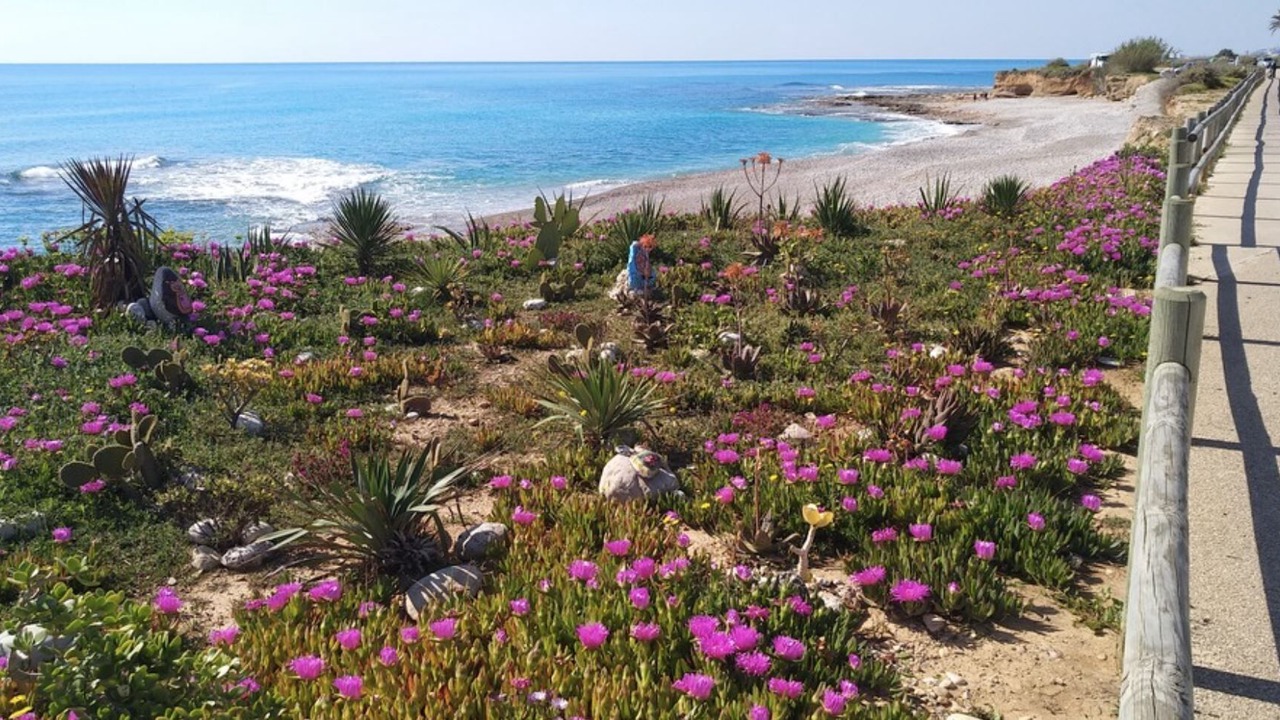 Photo of Others in Vinaros