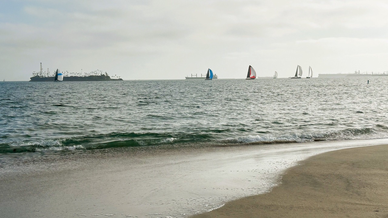 Photo of Others in Belmont Shore