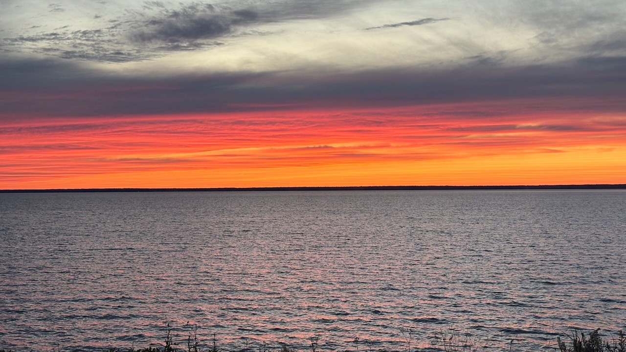 Photo of Others in Acadian Coastal Drive